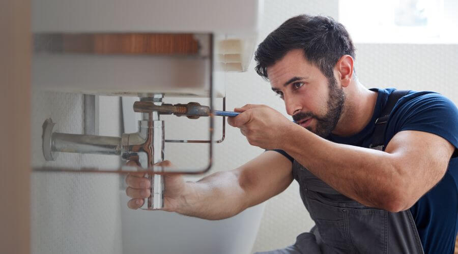 Trap Repair/Replacement in Coldwater, MI